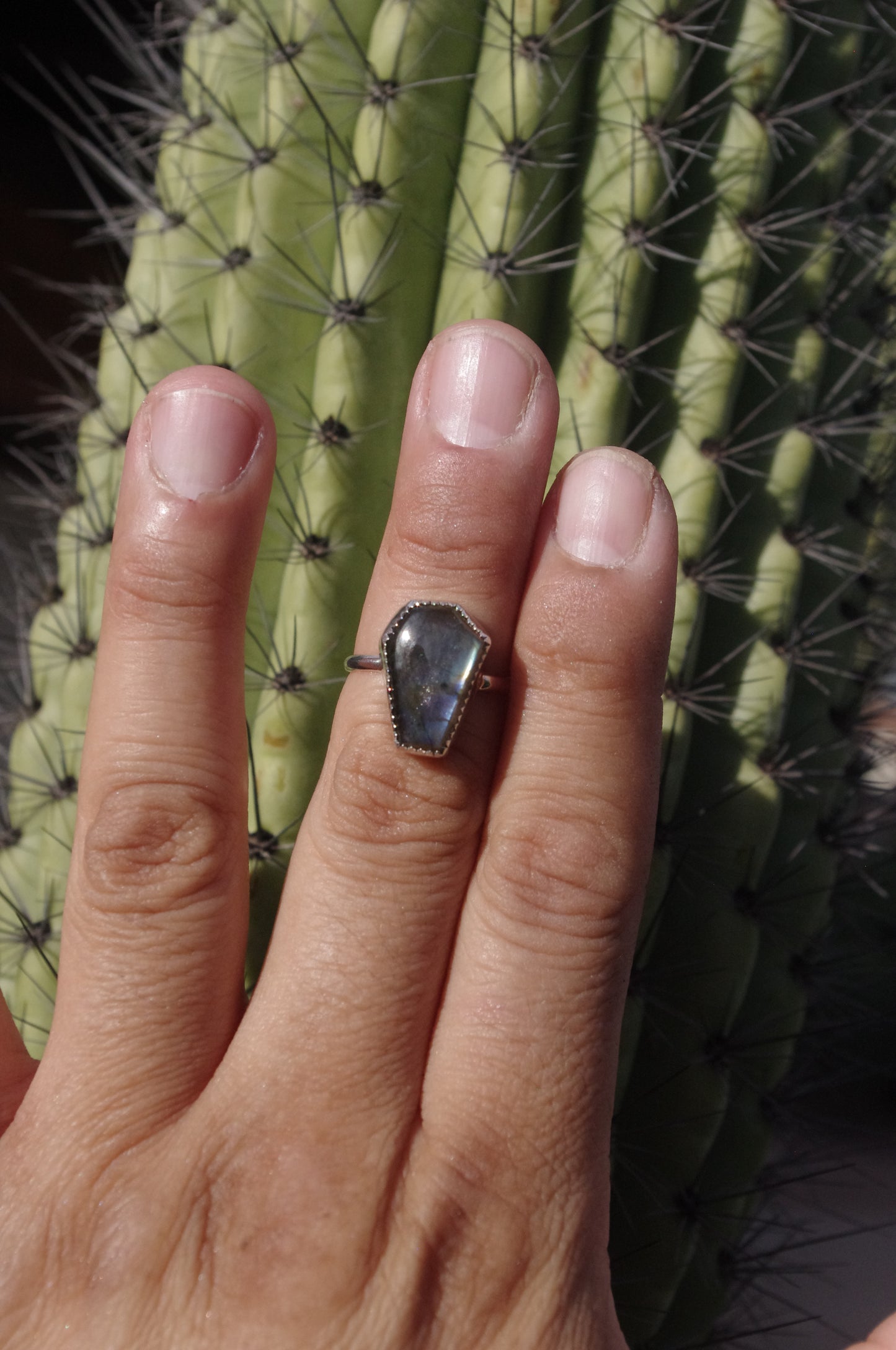Labradorite Coffin Sterling Silver Ring