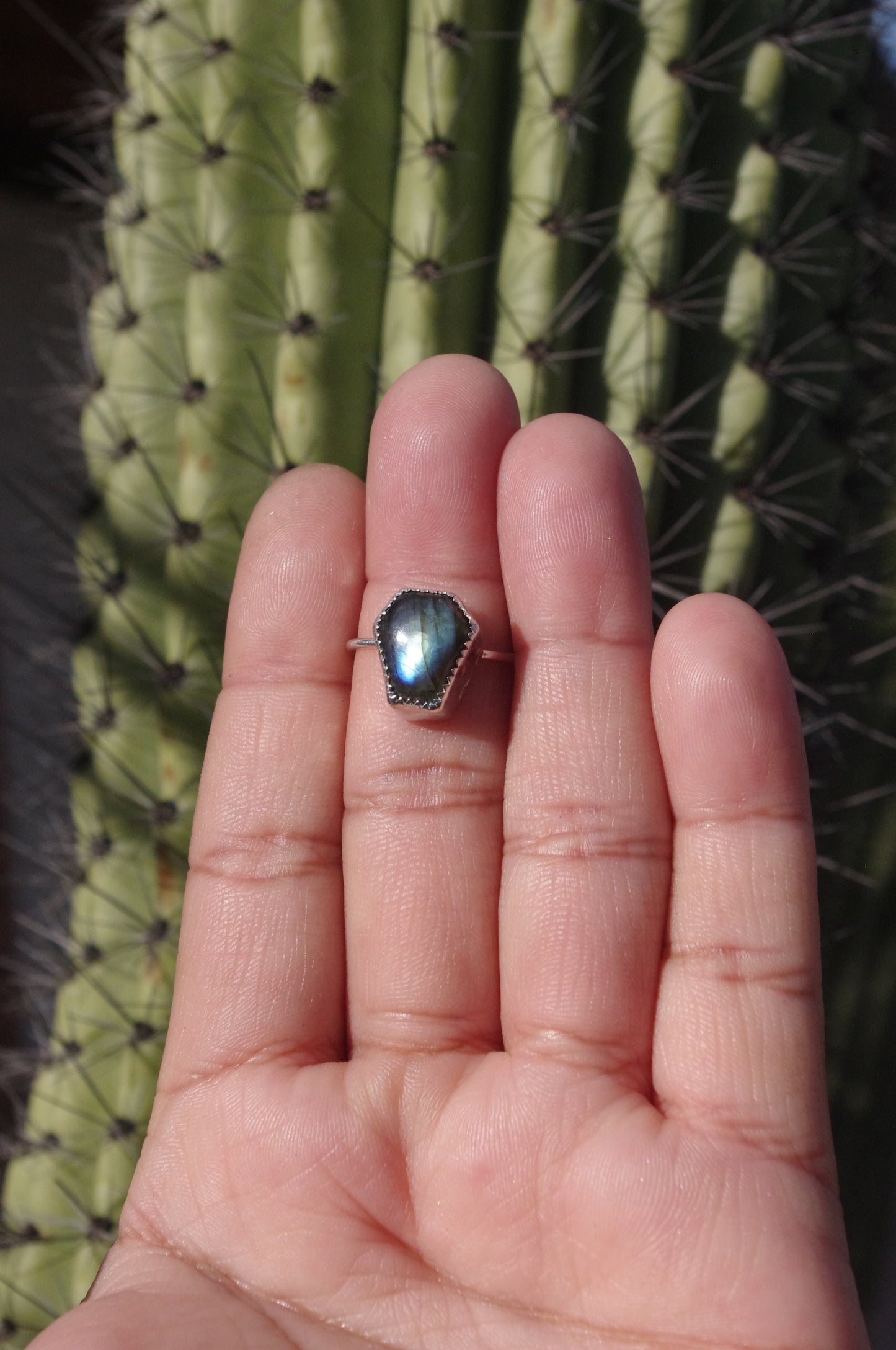 Labradorite Coffin Sterling Silver Ring