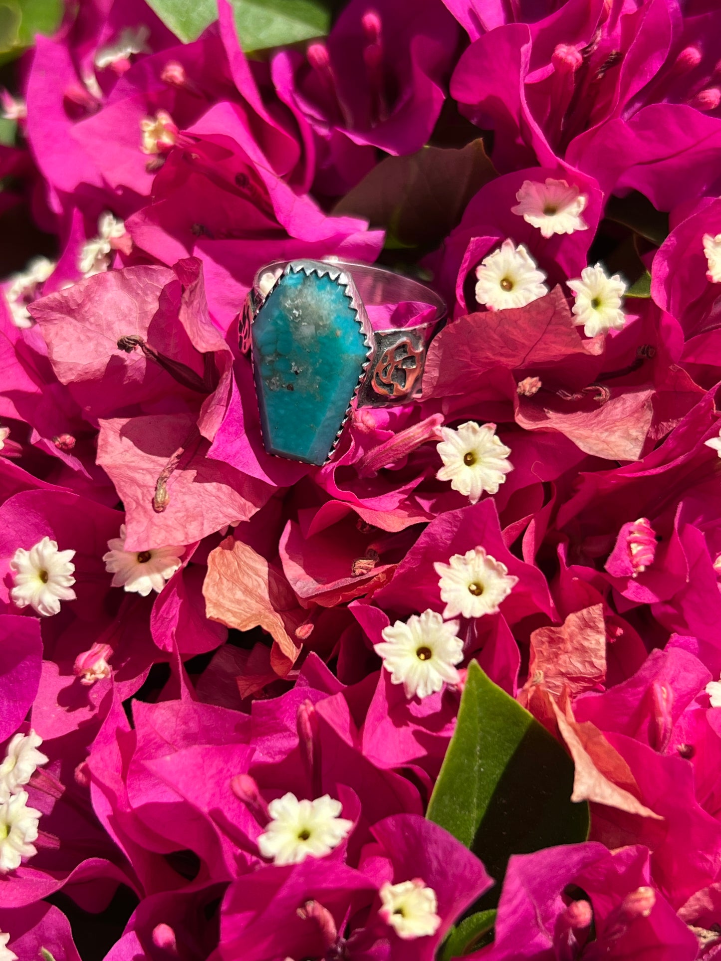 Turquoise ring with brass skulls 9 1/4 in