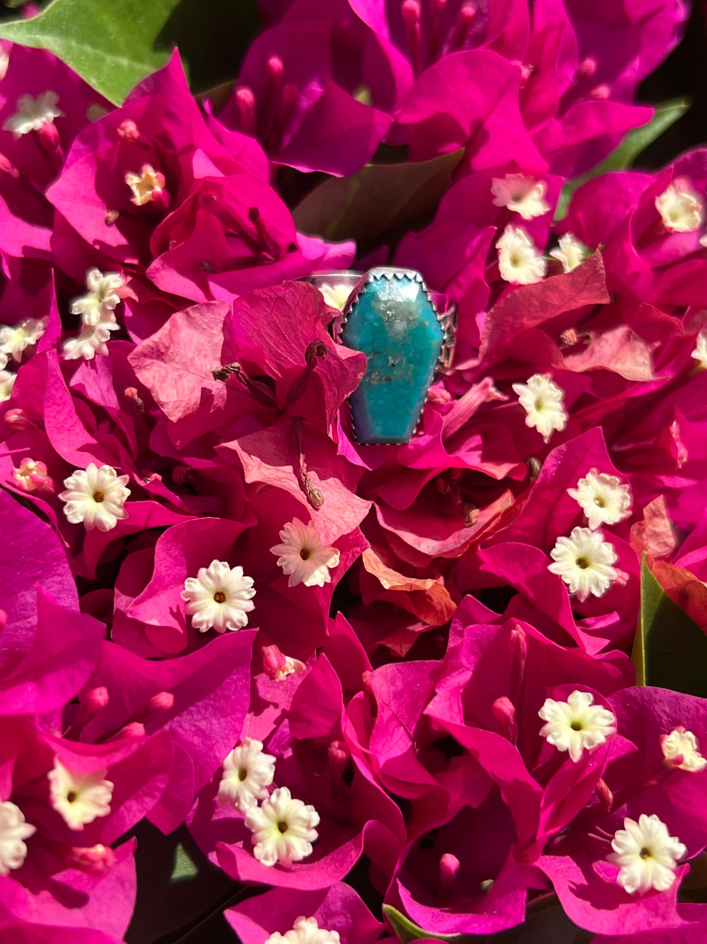 Turquoise ring with brass skulls 9 1/4 in