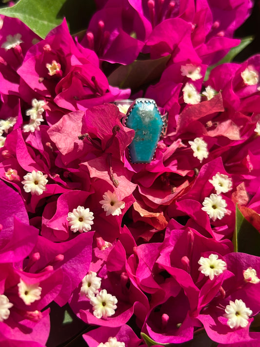 Turquoise ring with brass skulls 9 1/4 in