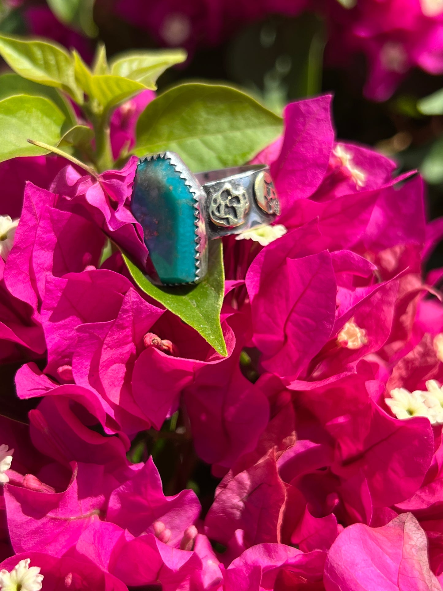Turquoise ring with brass skulls 9 1/4 in