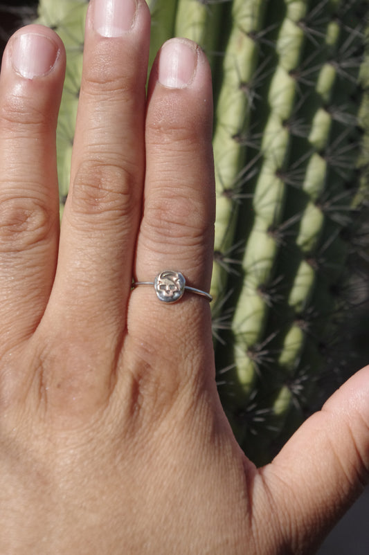 Brass skull Sterling Silver Ring. 1