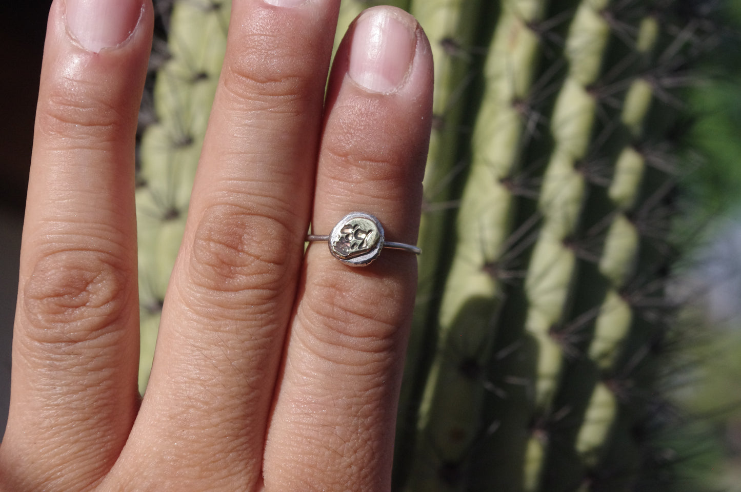 Brass Skull Sterling Silver Ring 2