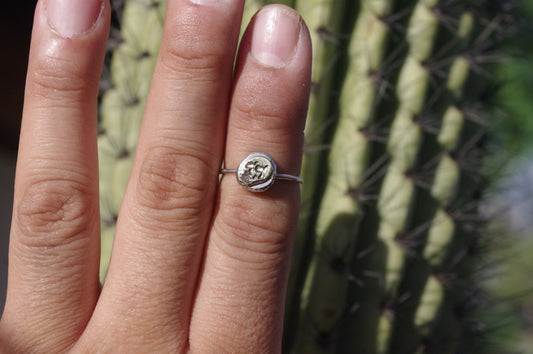 Brass Skull Sterling Silver Ring 2