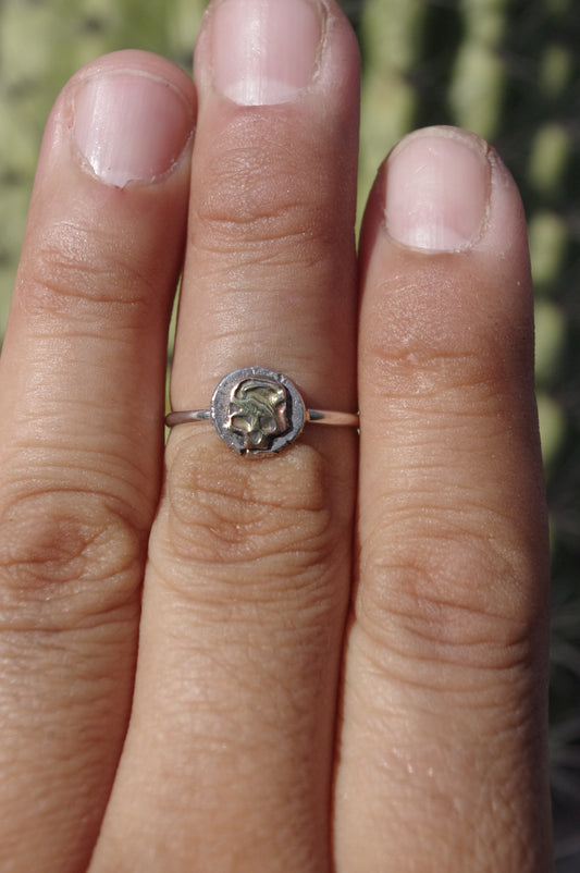 Brass Skull Sterling Silver Ring 3