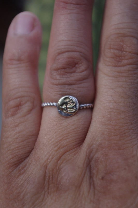 Brass Skull Sterling Silver Ring 4